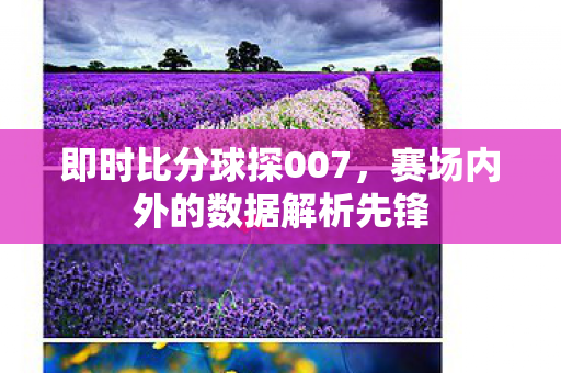 赛场内外的数据解析先锋图片