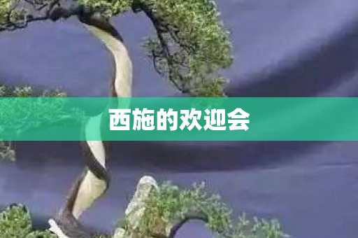 西施的欢迎会图片