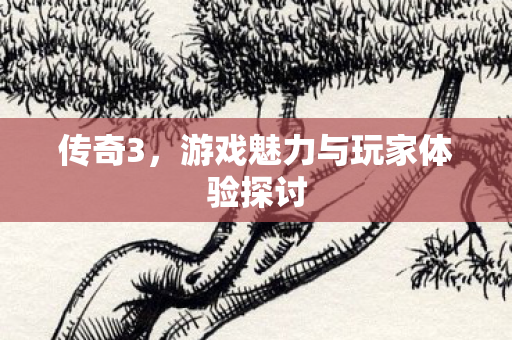 游戏魅力与玩家体验探讨图片