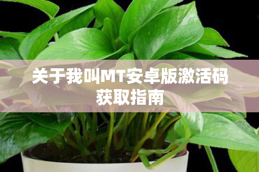关于我叫MT安卓版激活码获取指南图片