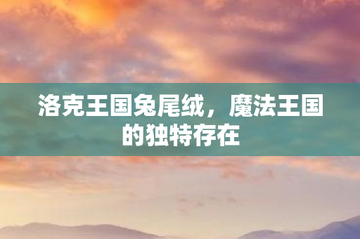 魔法王国的独特存在图片
