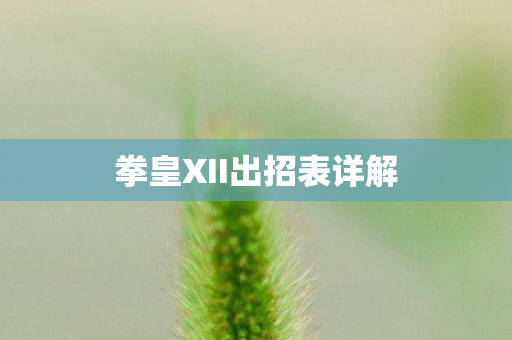 拳皇XII出招表详解图片