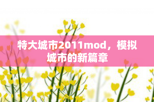 特大城市2011mod图片