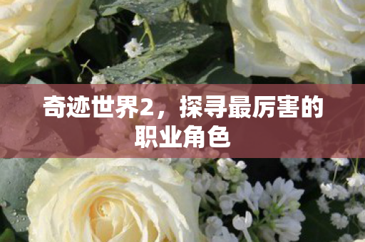 探寻最厉害的职业角色图片