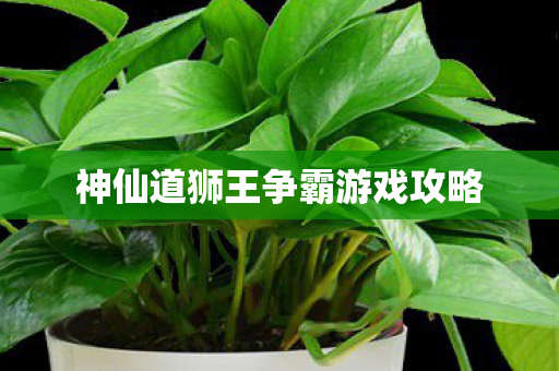 神仙道狮王争霸游戏攻略图片