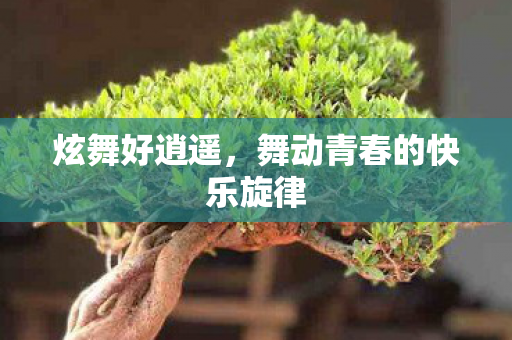 舞动青春的快乐旋律图片