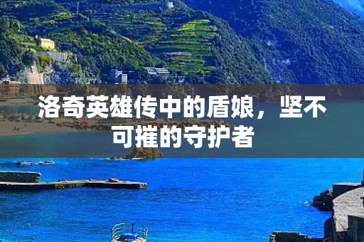 洛奇英雄传中的盾娘图片