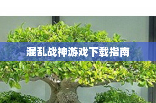 混乱战神游戏下载指南图片