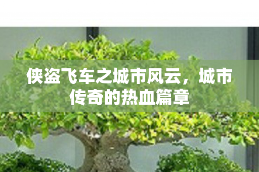 侠盗飞车之城市风云图片