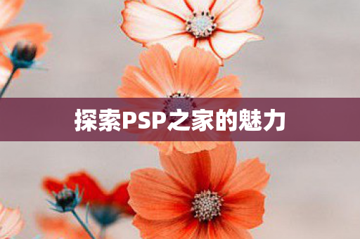 探索PSP之家的魅力图片
