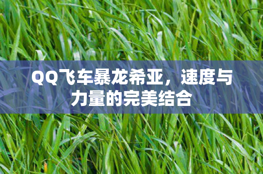速度与力量的完美结合图片