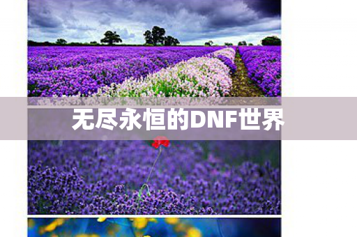 无尽永恒的DNF世界图片