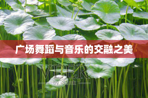 广场舞蹈与音乐的交融之美图片