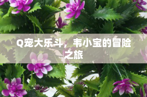 韦小宝的冒险之旅图片