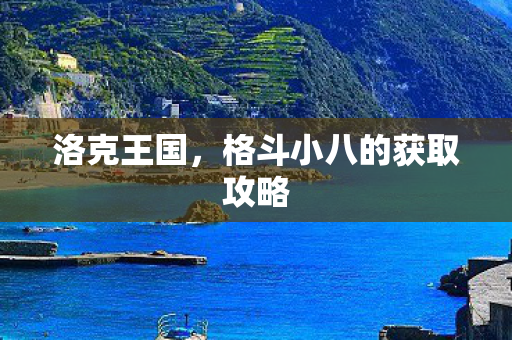 格斗小八的获取攻略图片