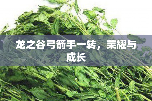 龙之谷弓箭手一转图片
