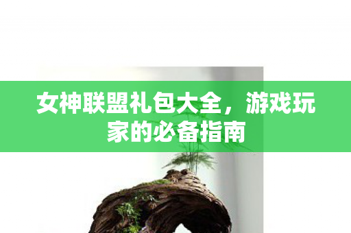 游戏玩家的必备指南图片