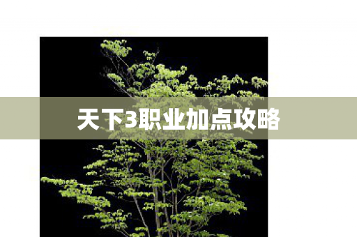 天下3职业加点攻略图片