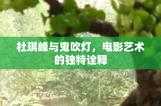 电影艺术的独特诠释图片