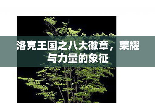 洛克王国之八大徽章图片