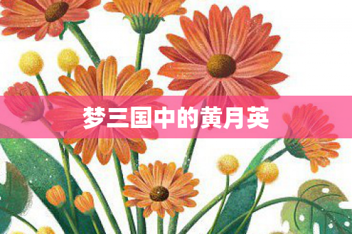 梦三国中的黄月英图片