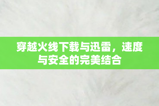 速度与安全的完美结合图片