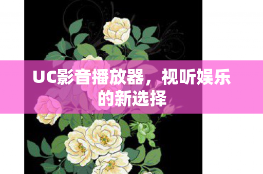 视听娱乐的新选择图片