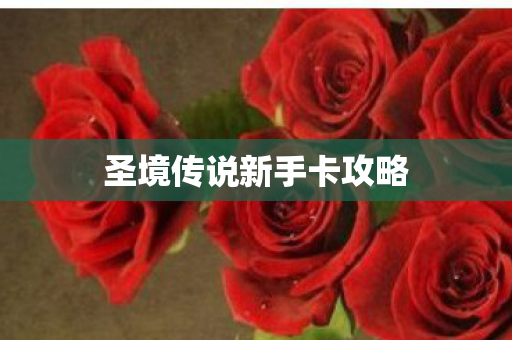 圣境传说新手卡攻略图片