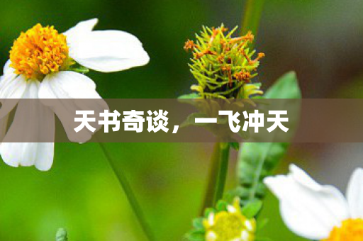 天书奇谈图片