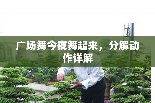 广场舞今夜舞起来图片