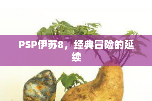 经典冒险的延续图片