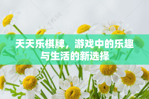 游戏中的乐趣与生活的新选择图片