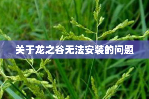 关于龙之谷无法安装的问题图片