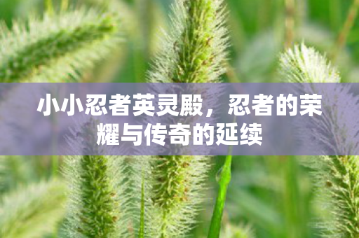 忍者的荣耀与传奇的延续图片