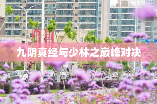 九阴真经与少林之巅峰对决图片