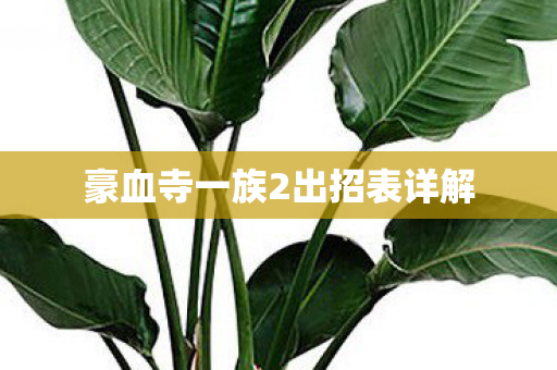 豪血寺一族2出招表详解图片