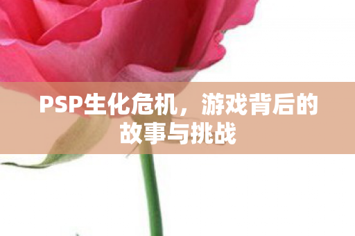 游戏背后的故事与挑战图片