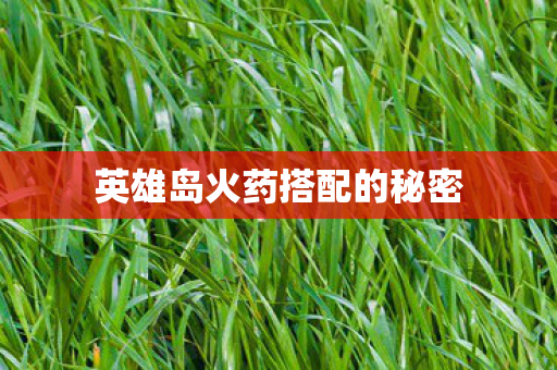 英雄岛火药搭配的秘密图片