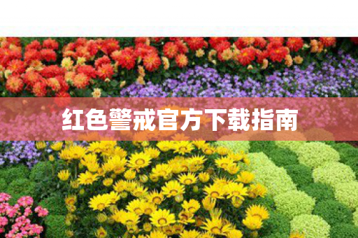 红色警戒官方下载指南图片