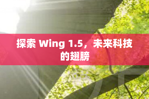 探索 Wing 1图片