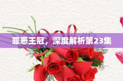 深度解析第23集图片