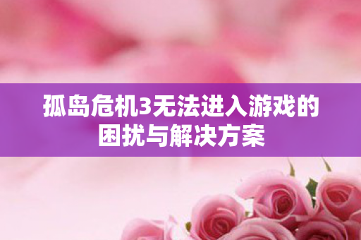 孤岛危机3无法进入游戏的困扰与解决方案图片