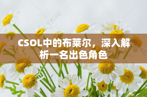 深入解析一名出色角色图片