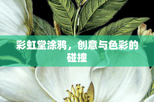 创意与色彩的碰撞图片