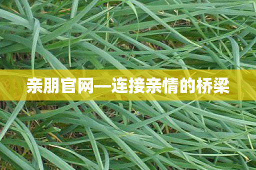 连接亲情的桥梁图片