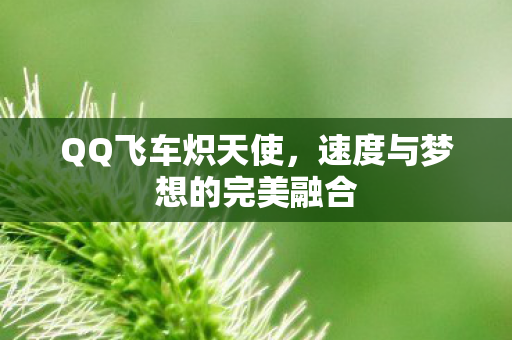 速度与梦想的完美融合图片