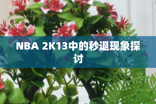NBA 2K13中的秒退现象探讨图片