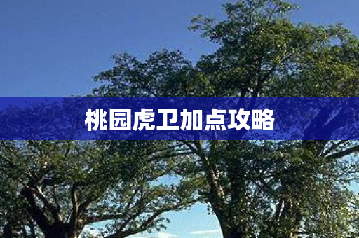 桃园虎卫加点攻略图片