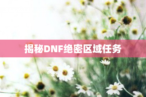 揭秘DNF绝密区域任务图片