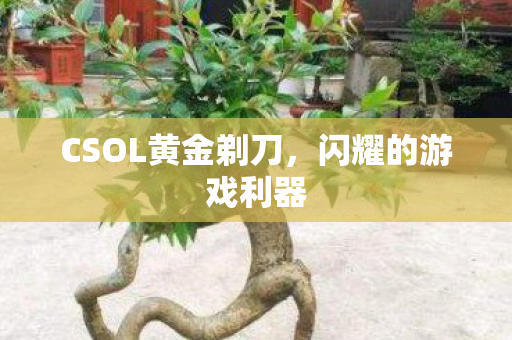 CSOL黄金剃刀图片